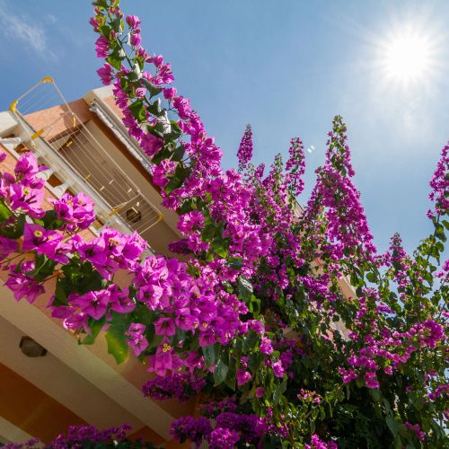 Apartments With Parking Space Barbat, Rab - 20080 Barbat – Barbat, Croația