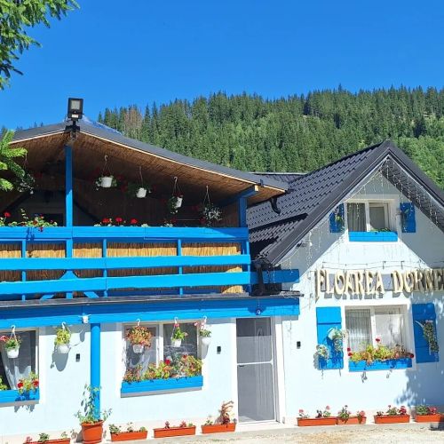 Pensiunea Floarea Dornei Șaru Dornei