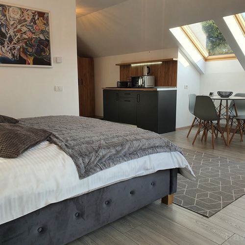 Family Studio Sinaia