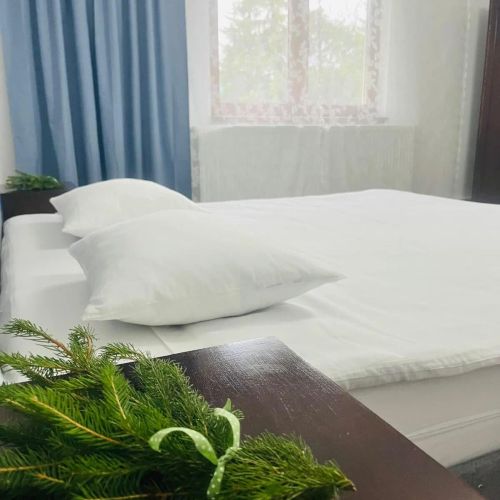 Pensiunea Guest House La TaTa Neagra Șarului