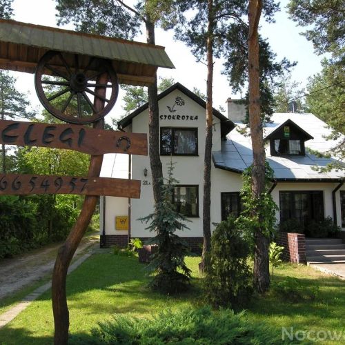 Gospodarstwo Agroturystyczne Stokrotka Susiec