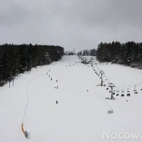 Villa Neve Ustrzyki Dolne