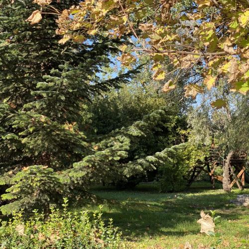 A Fogadó Bicske – Bicske, Ungaria