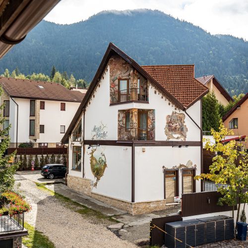 Monti Chalet Poiana Brașov