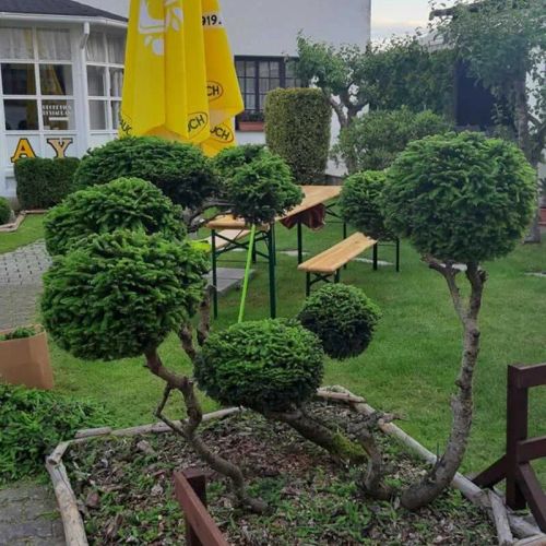 B&B Hotel Volčík Mariánské Lázně – Mariánské Lázně, Česká republika