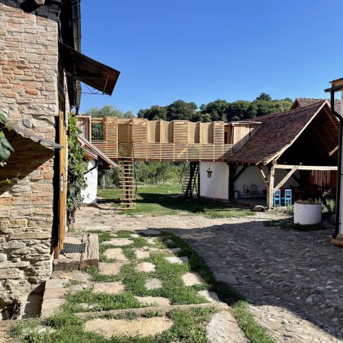 Critz Cross Criț