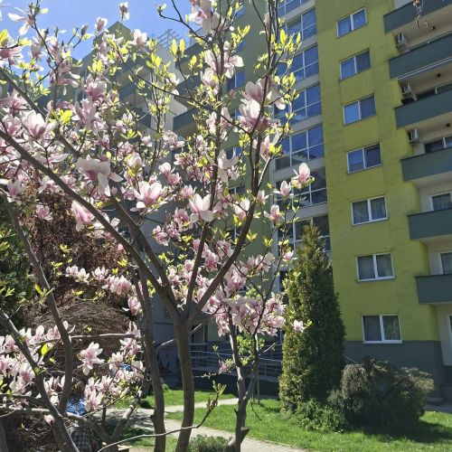 Apartament C&C Brașov