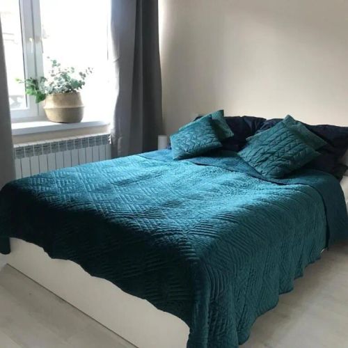 Apartament Vistula Centrum 4 Wisła