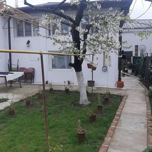 Casa Bia Craiova