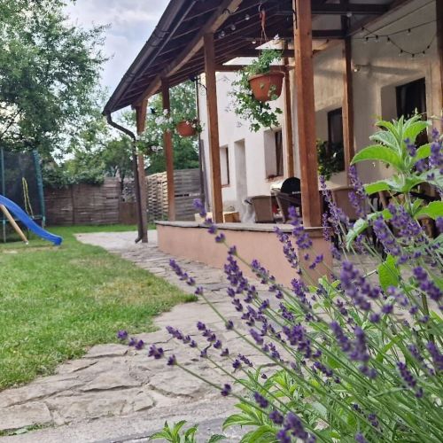 Studio Rasnov