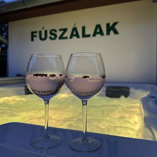 FűszáLak Apartman Siófok – Siófok, Ungaria