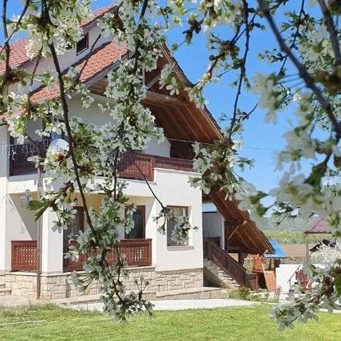 Pensiunea Zestrea Bunicilor Bodești