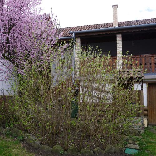 Bricskó Vendégház Szokolya – Szokolya, Maďarsko