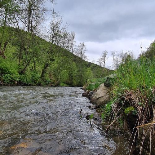 Pensiune Agroturistică Popasul Moților Răchițele – Răchițele, România