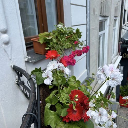 Hotel Selari Chambre București – Bukareszt, Rumunia