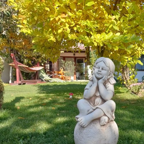 Casa Narciselor Râșnov