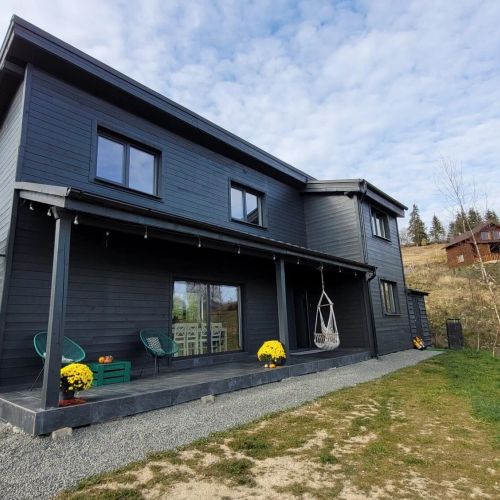 Black Wood Cabin Mărișel