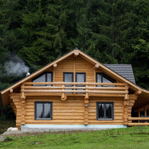 Cabana Ursul Negru Izvoare