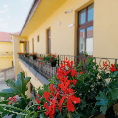 Collegium Varadinum Oradea