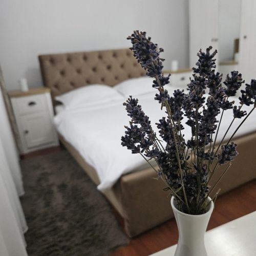 Apartament Iosia Premium Oradea