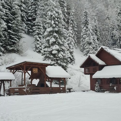 Casa Pleșa Răchițele