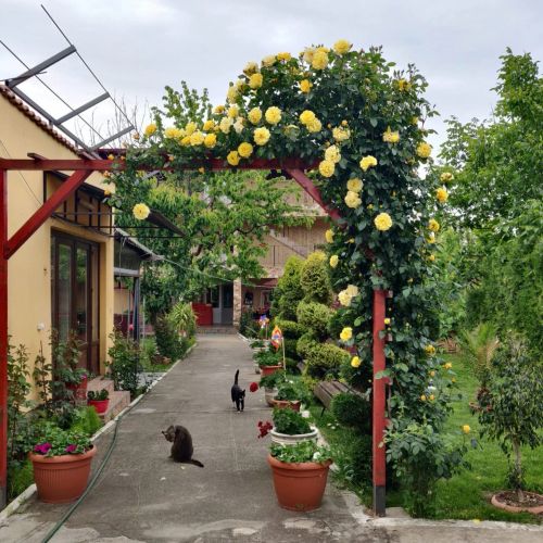 Vila Răzvan Costinești