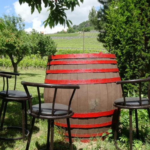 Juhfarkliget Somló - Goldhill Vineyard Lodges – Somlóhegy, Ungaria