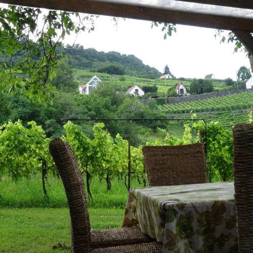 Juhfarkliget Vendégház Somlóhegy