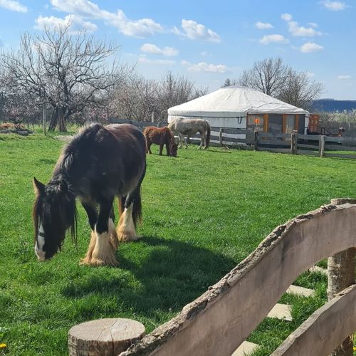 Jurtarelax Kozármisleny