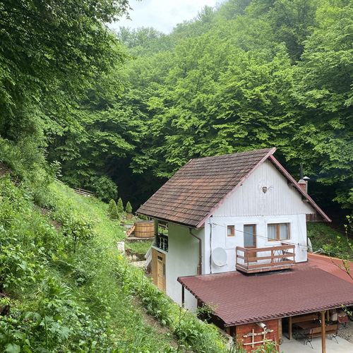 Casuta Din Padure Toplita Hunedoara