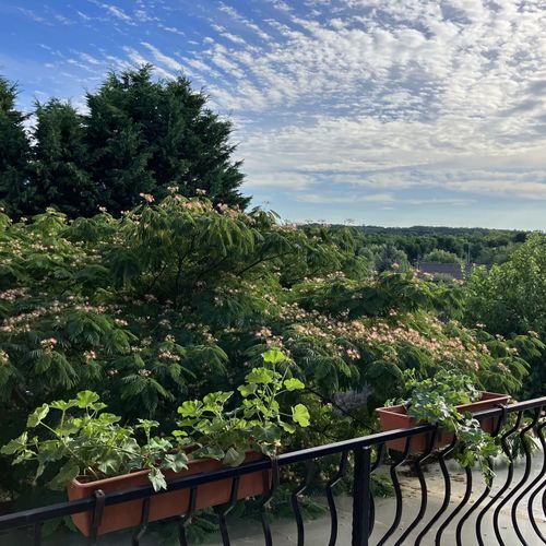 Bike Oasis Vendégház Herceghalom