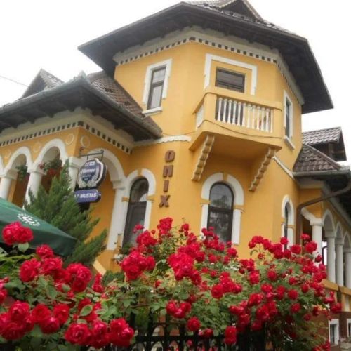 Pensiunea Onix Făgăraș