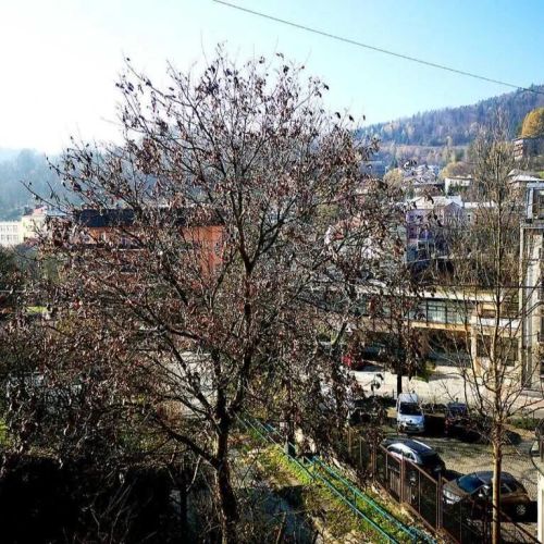 ALVARE Apartament Słoneczny Krynica-Zdrój – Krynica-Zdrój, Polsko