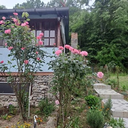 Cabana Elyana Mraconia Eșelnița