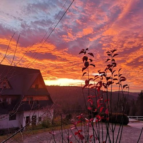 Górski Ośrodek Jeździecki Bukowina Tatrzańska – Bukowina Tatrzańska, Polonia