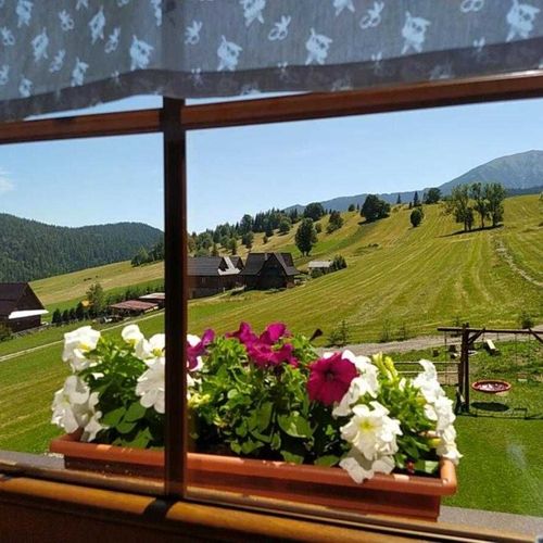 Privat Bachledova dolina Ždiar – Ždiar, Slovacia