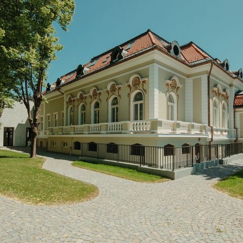   Hotel Cocosul de Aur Târgu Mureș