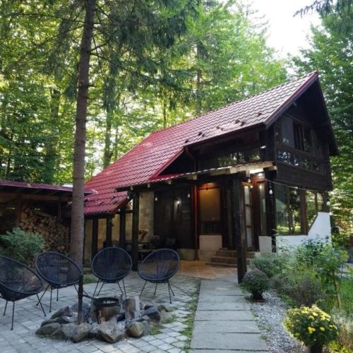 Misha's House Avrig
