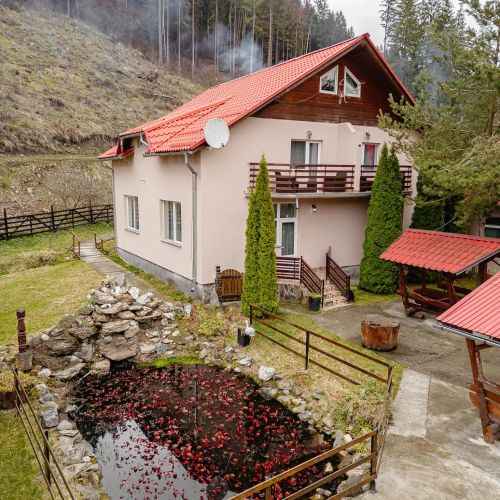 Complex Căprioara Toplița – Topliţa, România