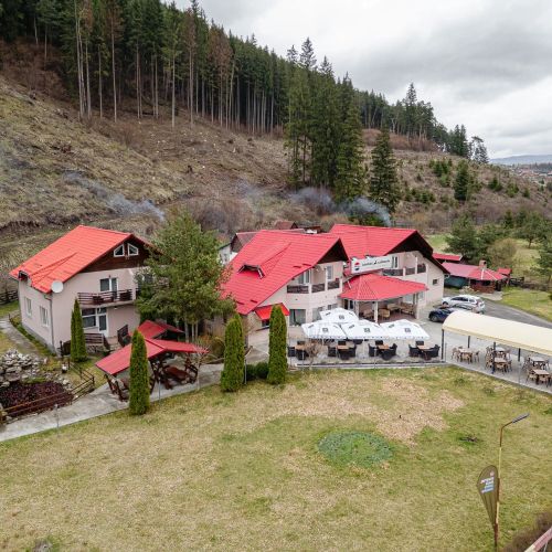 Complex Căprioara Toplița – Topliţa, România