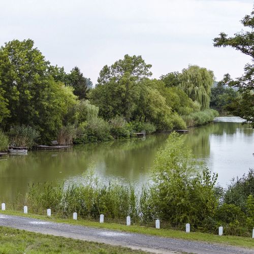 Pampuska Apartman Gyomaendrőd