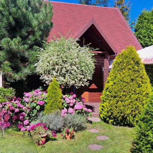 Domki Cyprys Ostrowo Kolonie