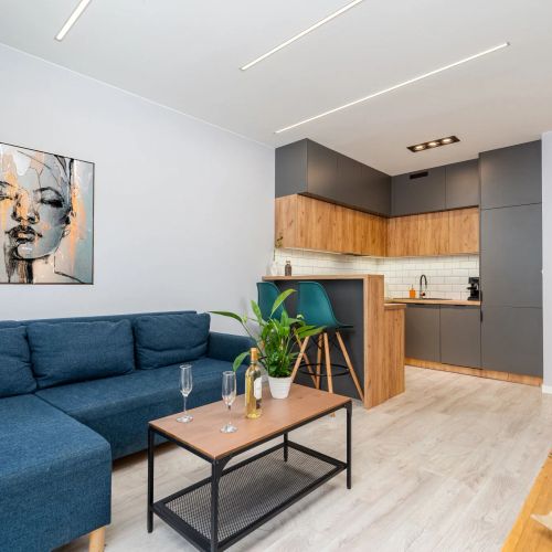 Rakowicka Apartments Kraków – Krakov, Polsko