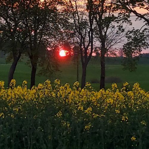 Gospodarstwo Agroturystyczne Kraina Choszcza – Choszczno, Polska