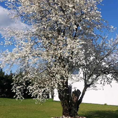 Gospodarstwo Agroturystyczne Kraina Choszcza – Choszczno, Polska