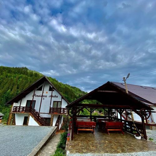 Pensiunea Andra Albac – Albac, România