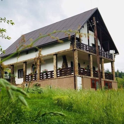 Pensiunea Andra Albac – Albac, România