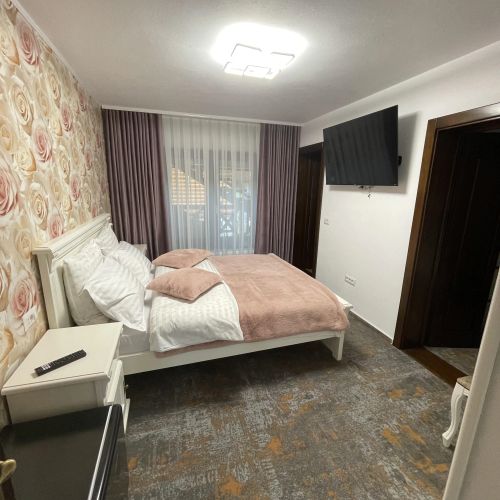 Pensiunea AlexOlar New One Mătișești