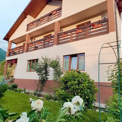 Pensiunea Casa Raul Borșa