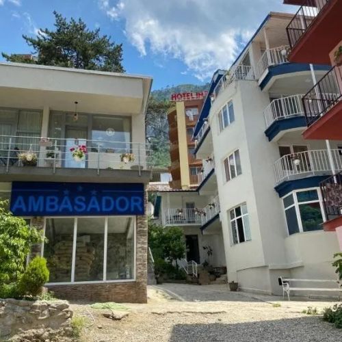 Pensiunea Ambasador Băile Herculane